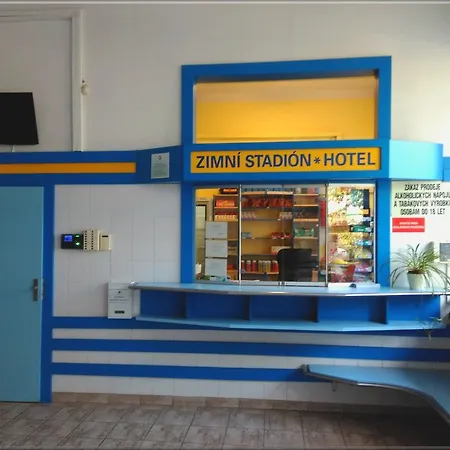 Zimni Stadion Гостевой дом *
